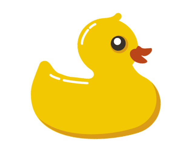 B1 Duck
